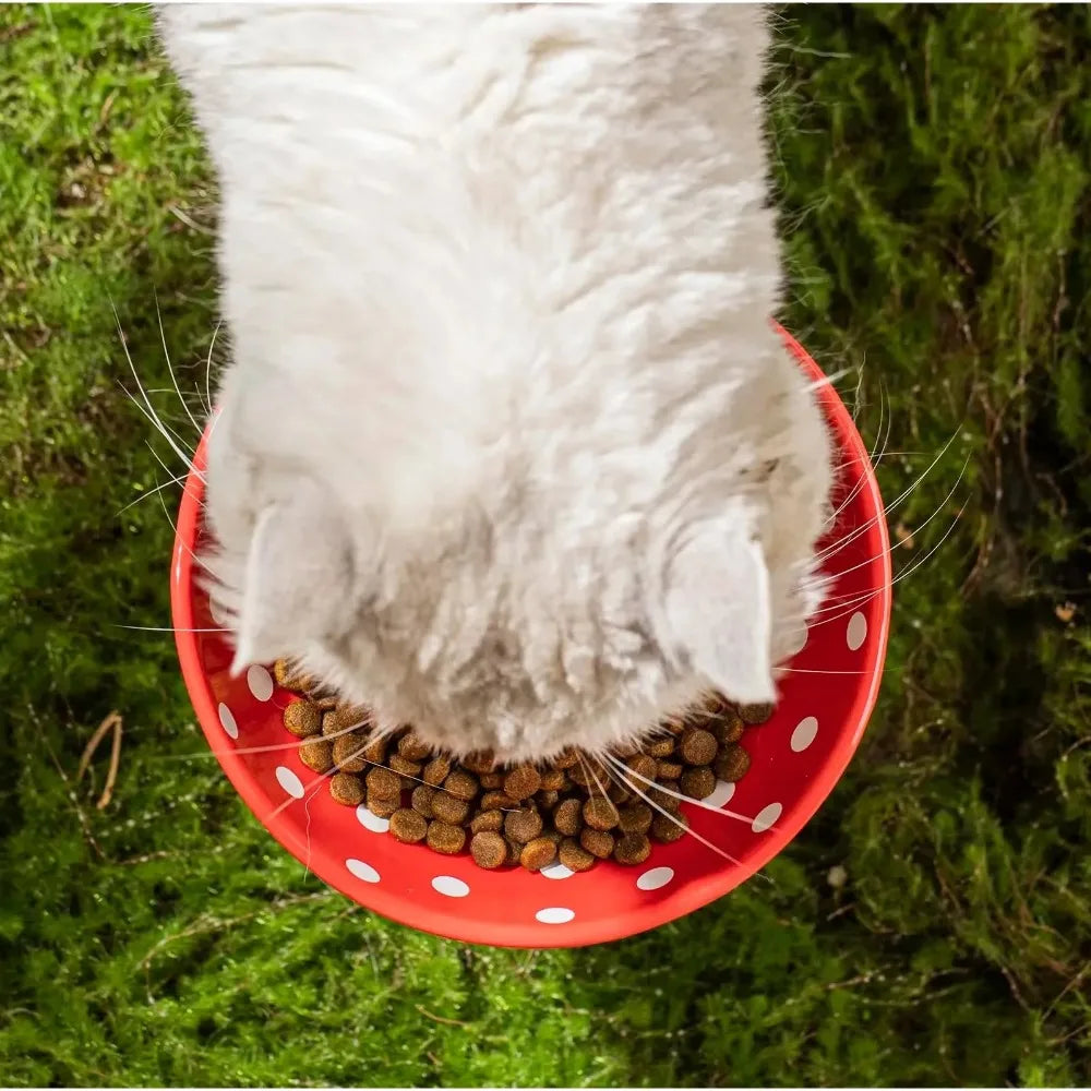 Mushroom Cat Bowl A0383