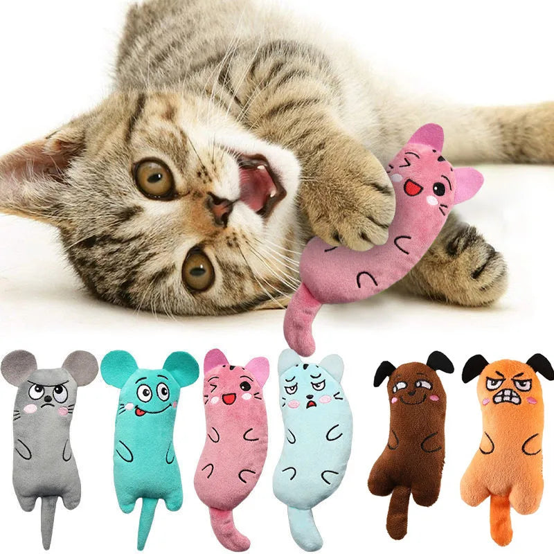 Interactive Plush Catnip Toy for Kittens A0305