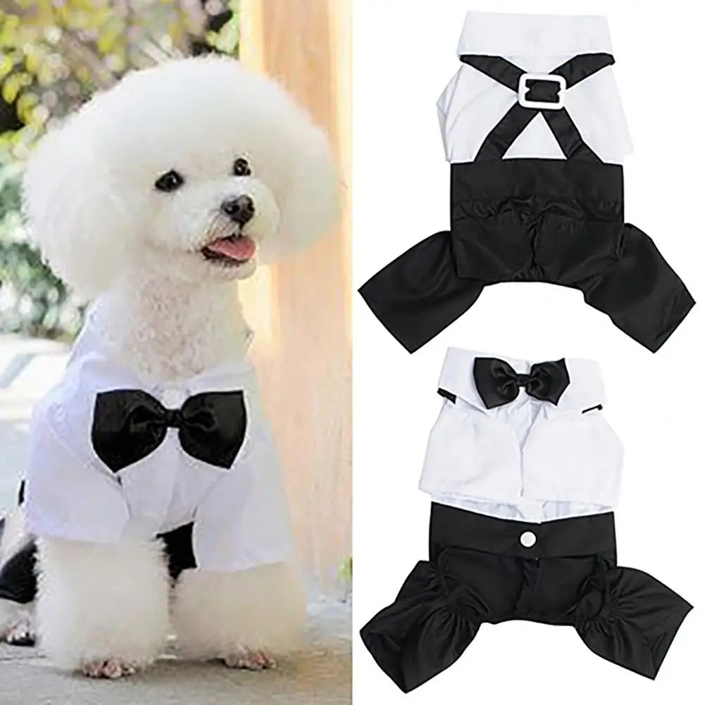 Dog Bow Tie Tuxedo, Wedding Suit. A0024