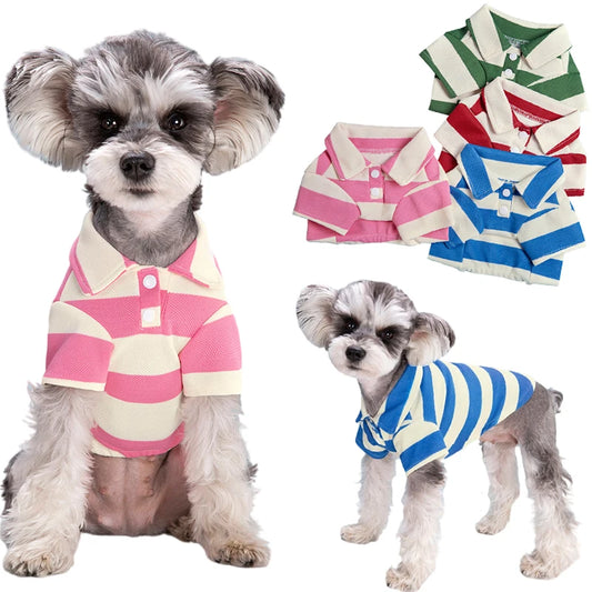 Dog Striped Polo Shirt A0002