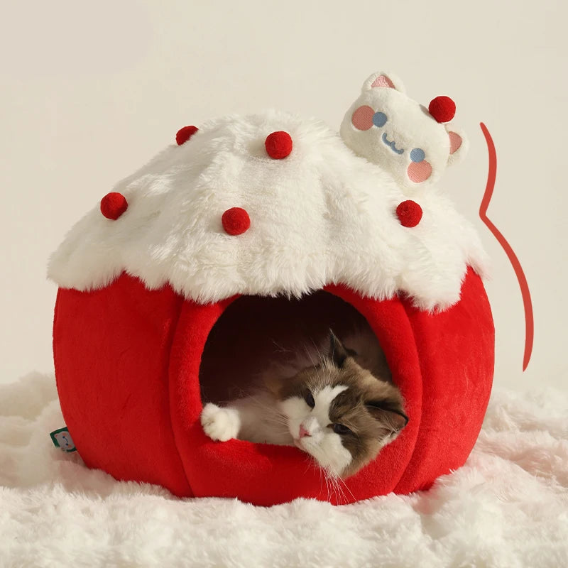 Cat House Enclosed Strawberry Bed A0378