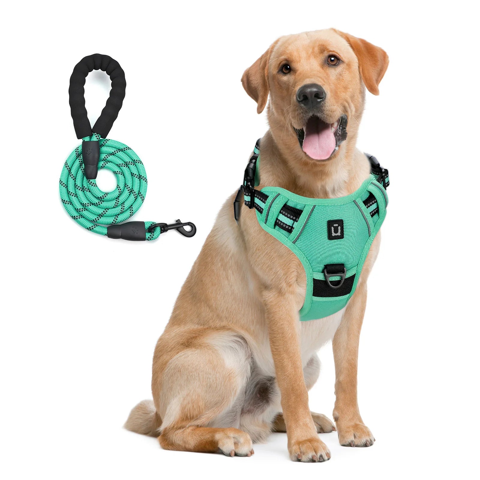 No-Pull Dog Harness & Leash A0040