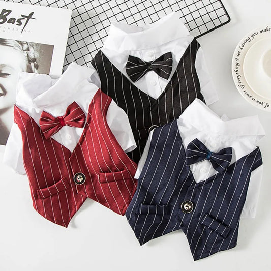 Striped Dog Shirt with Bow Tie A0172