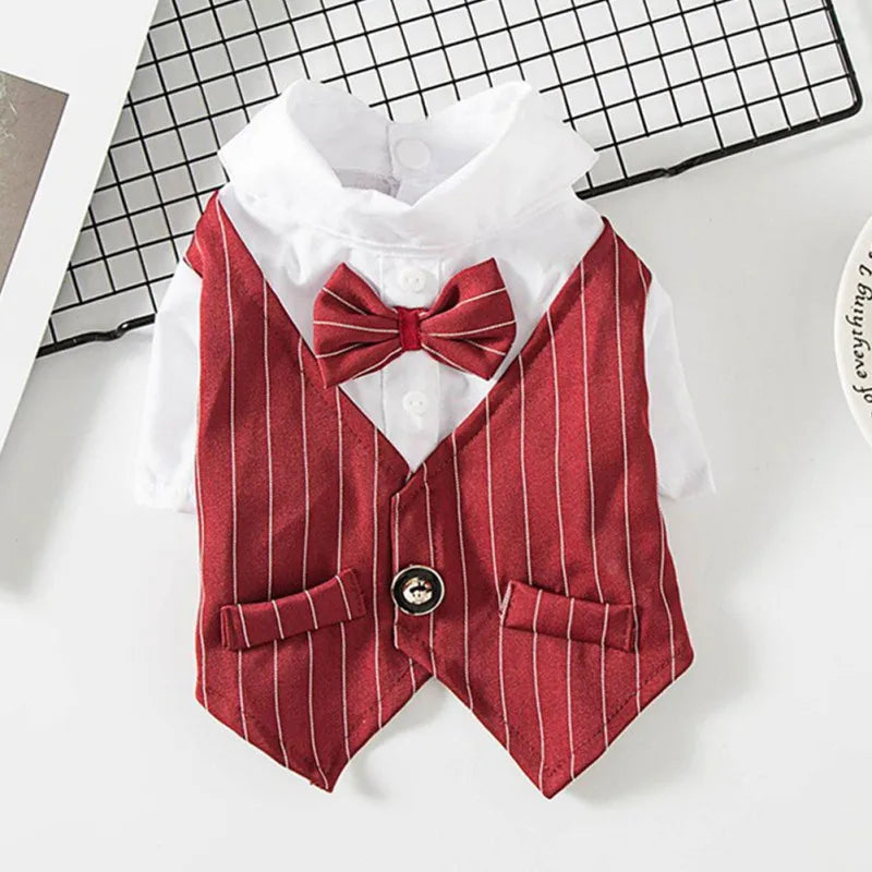 Striped Dog Shirt with Bow Tie A0172