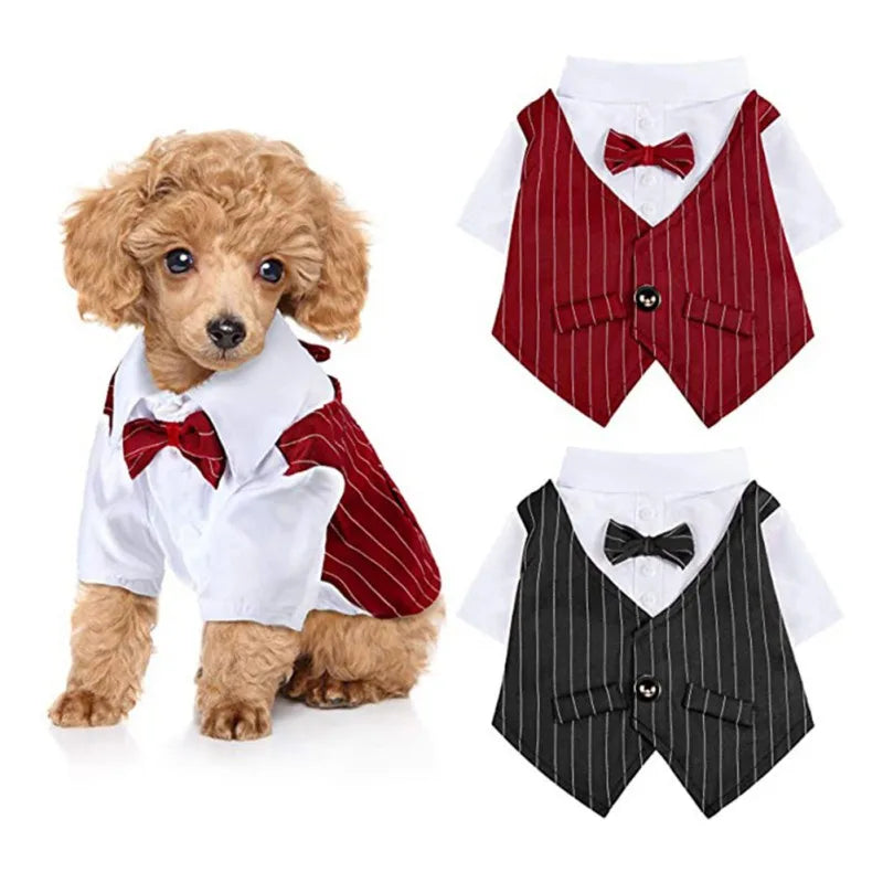 Striped Dog Shirt with Bow Tie A0172