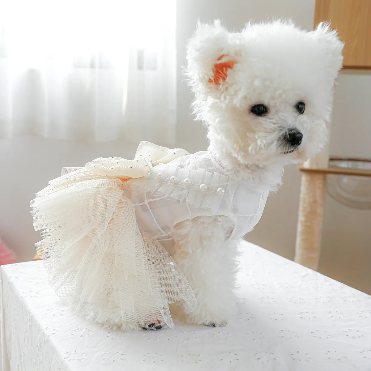 Spring & Summer Princess Dog Dress A0265