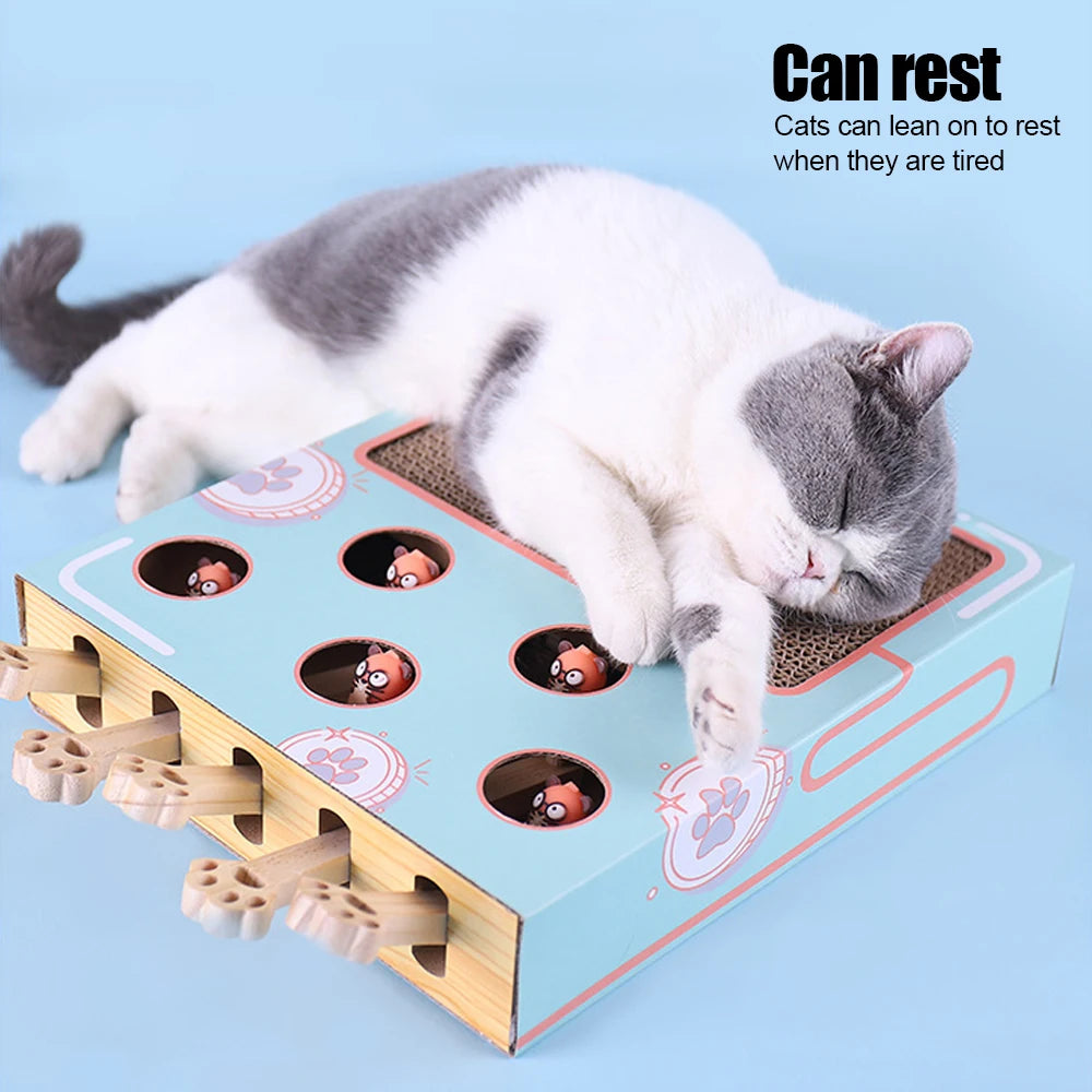 Interactive Cat Game Box A0402