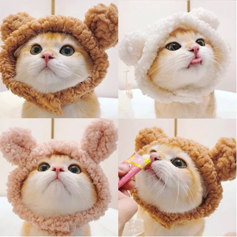 Cute Bear Hat for Pets A0190