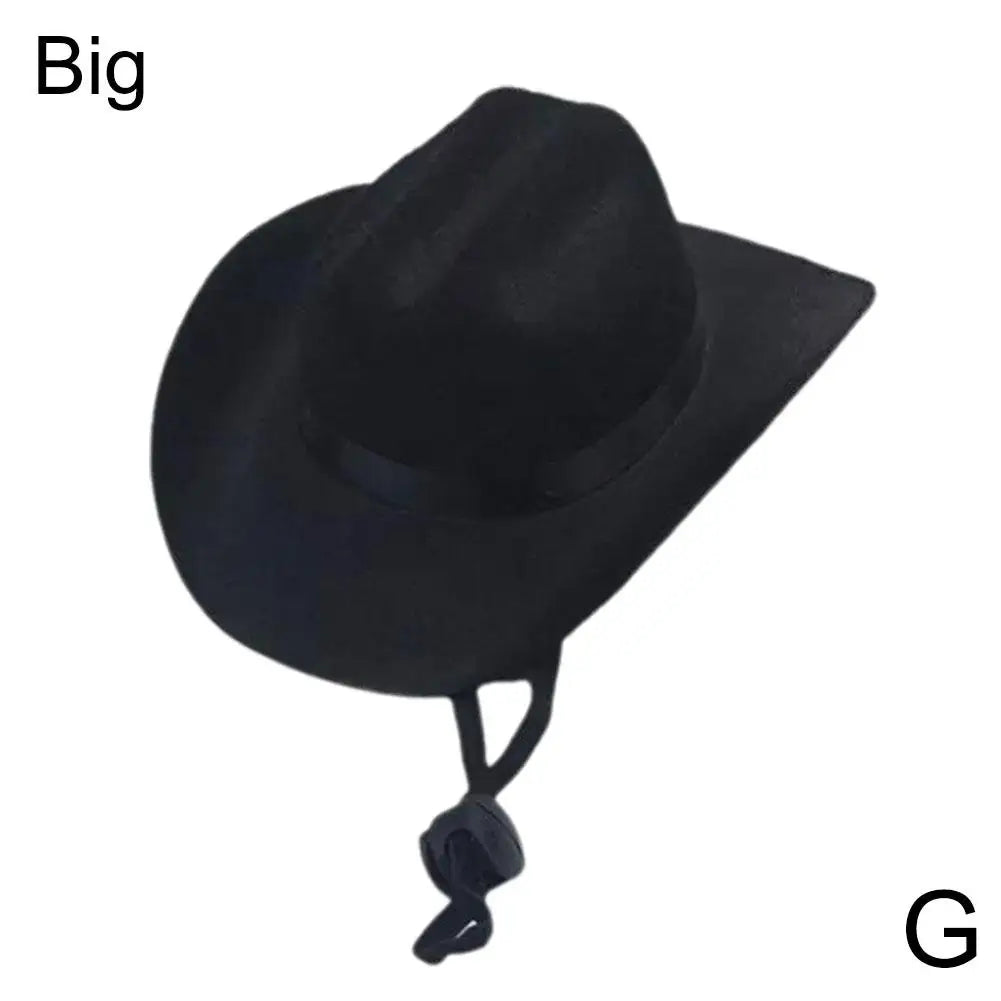 Funny Pet Cowboy Hat A0211