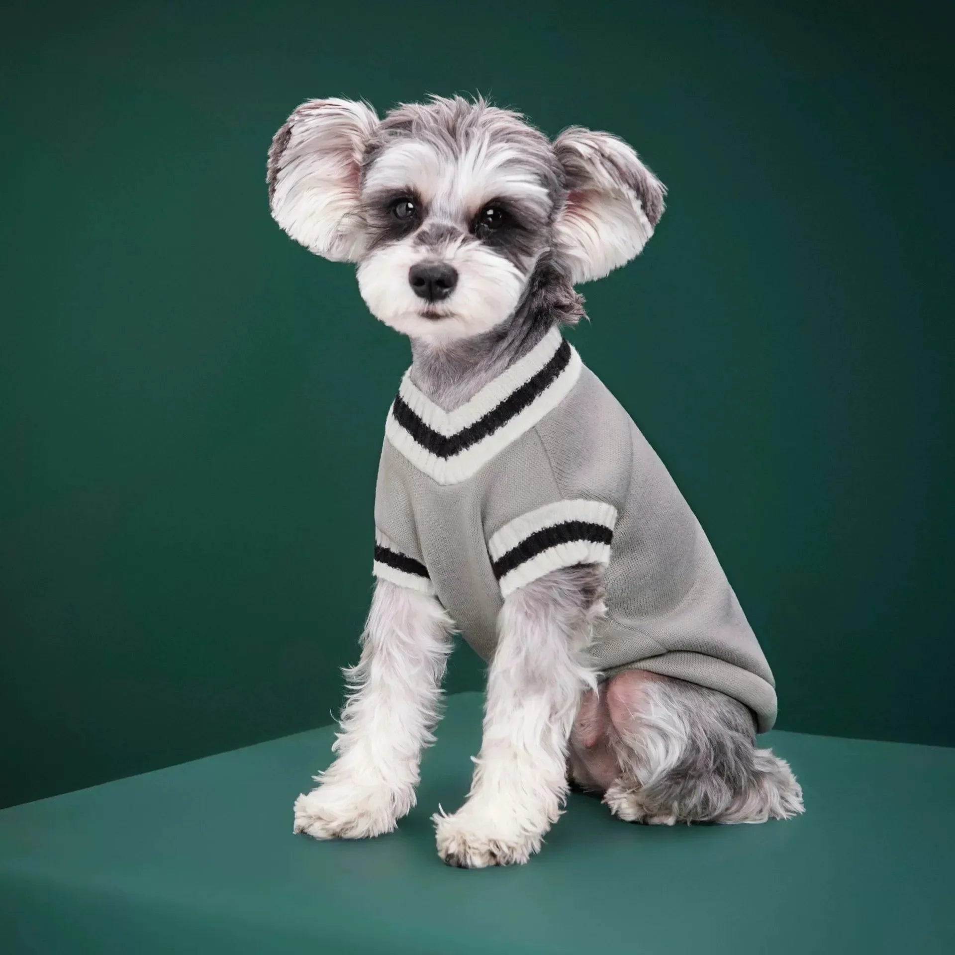 Autumn - Winter Warm Pet Sweater.A0125