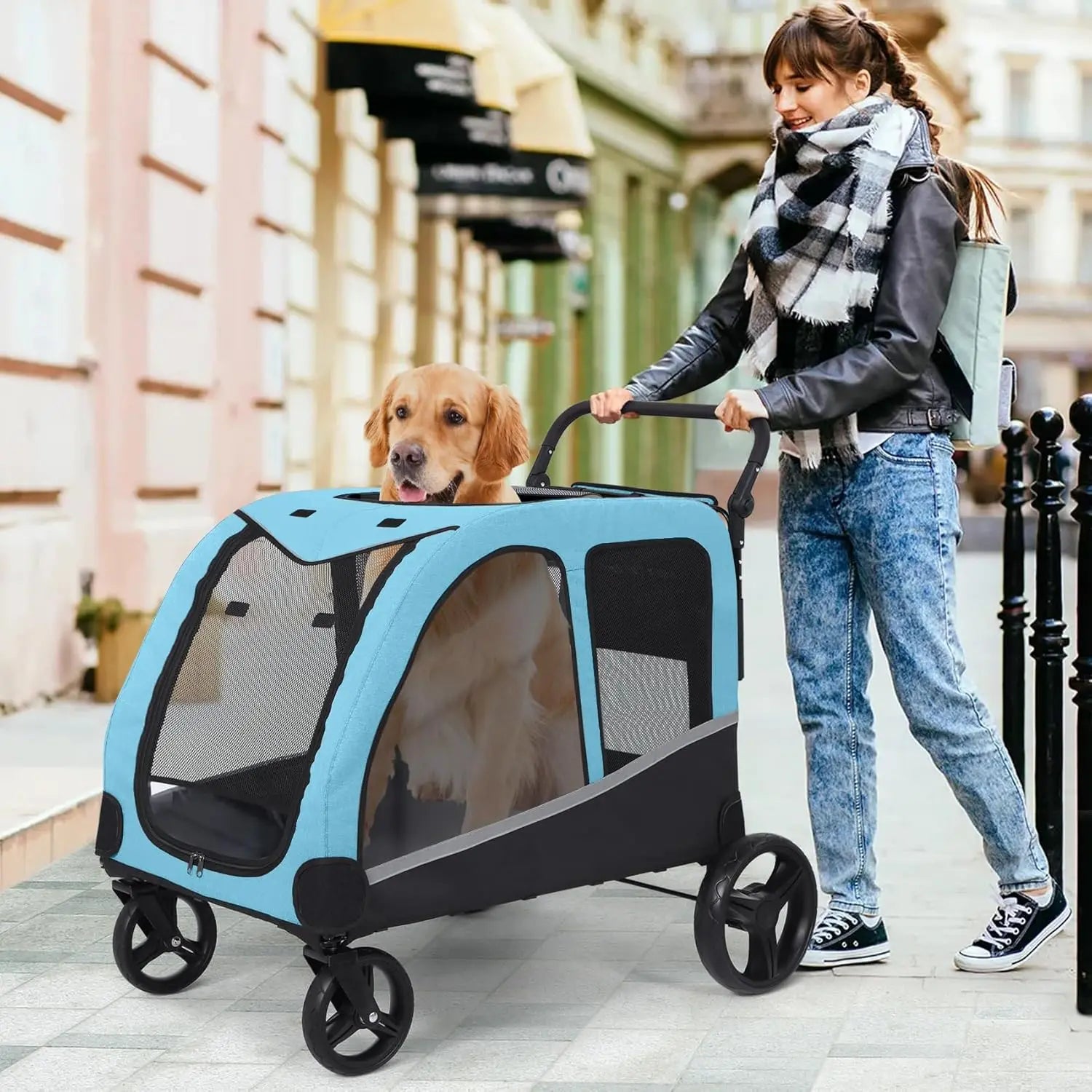 Large Dog Stroller for 2 Pets A0076