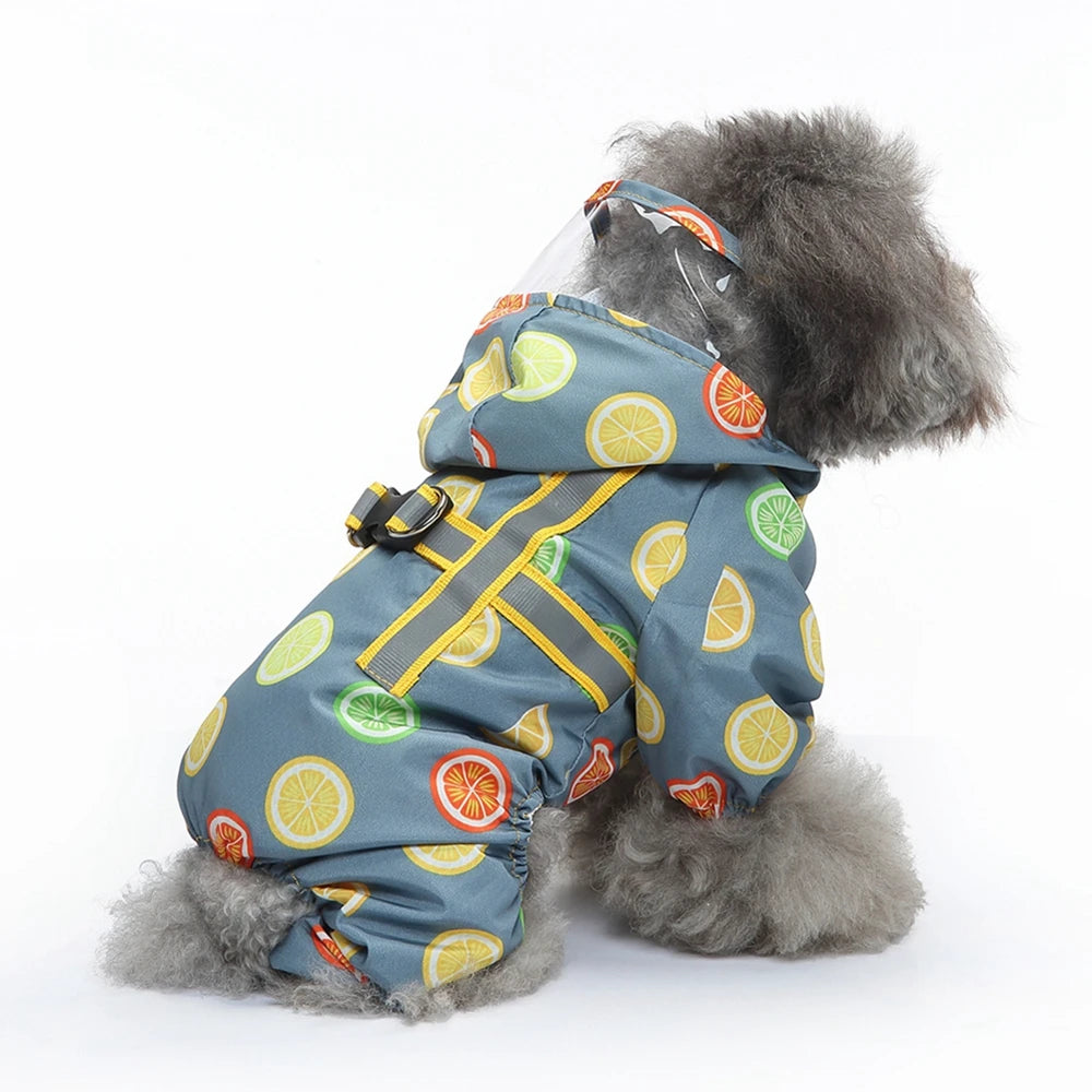 Fruit Print Raincoat  A0167