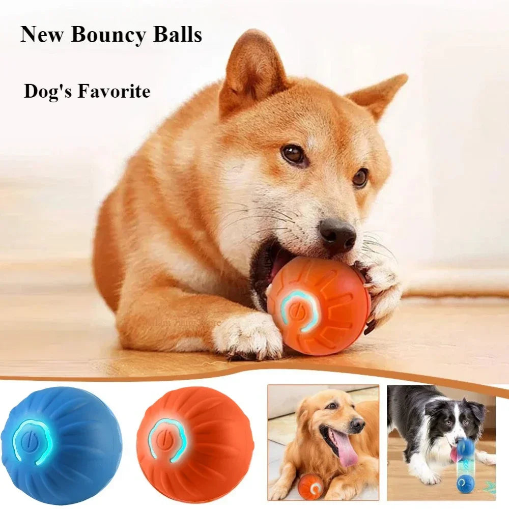 Interactive Dog Toy Ball for Puppies A0433