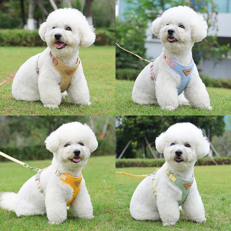 Small/Medium Pet Harness Leash A0300