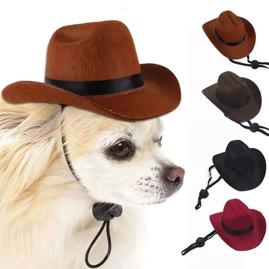 Funny Pet Cowboy Hat A0211