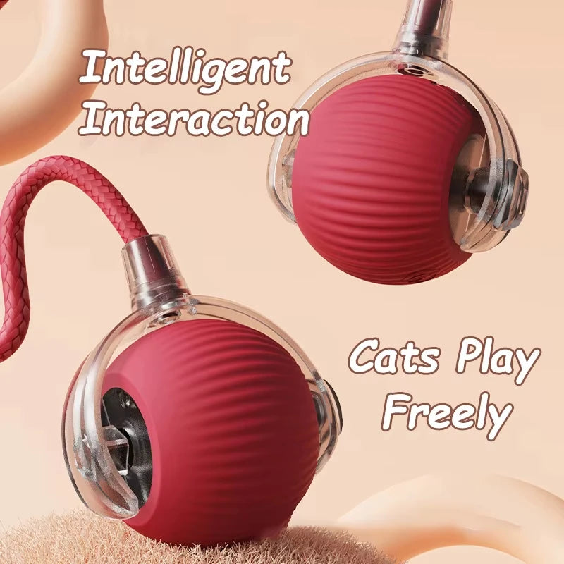 Electric Interactive Dog Ball A0052