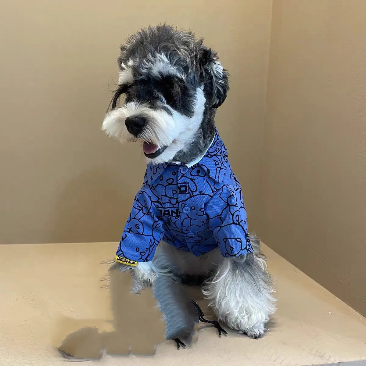 Cartoon Blue Bear Dog Shirt A0084