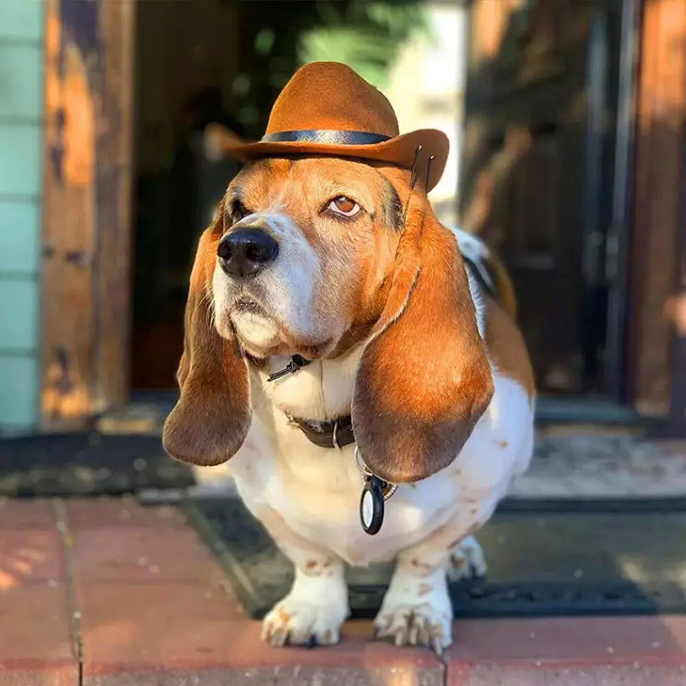 Funny Pet Cowboy Hat A0211