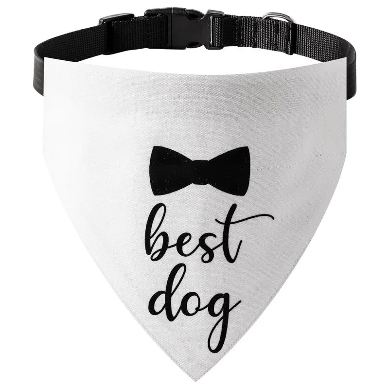 Solid Cotton Dog Bandana A0042