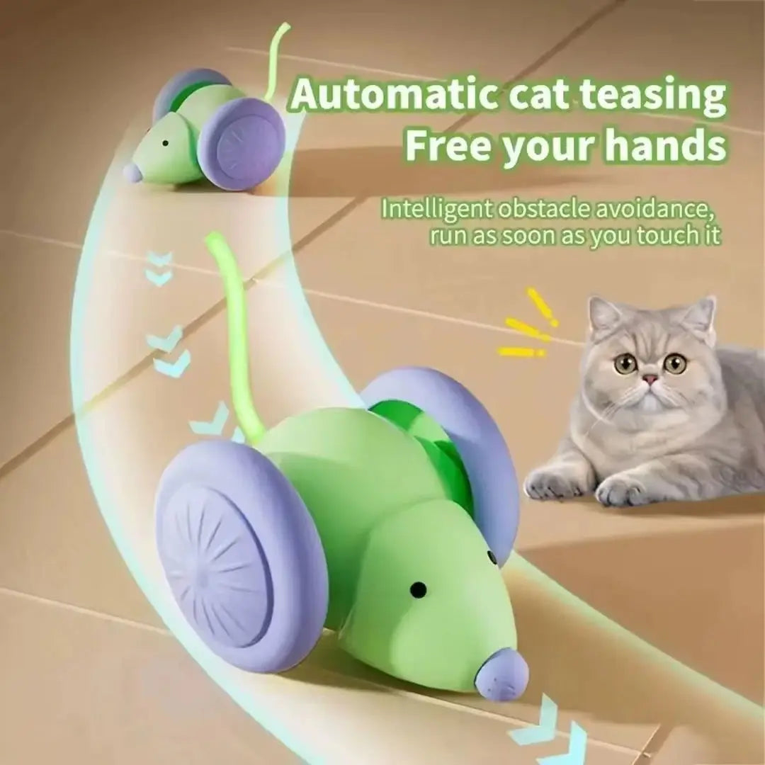 Cat Toy Electric Mouse Car A0138