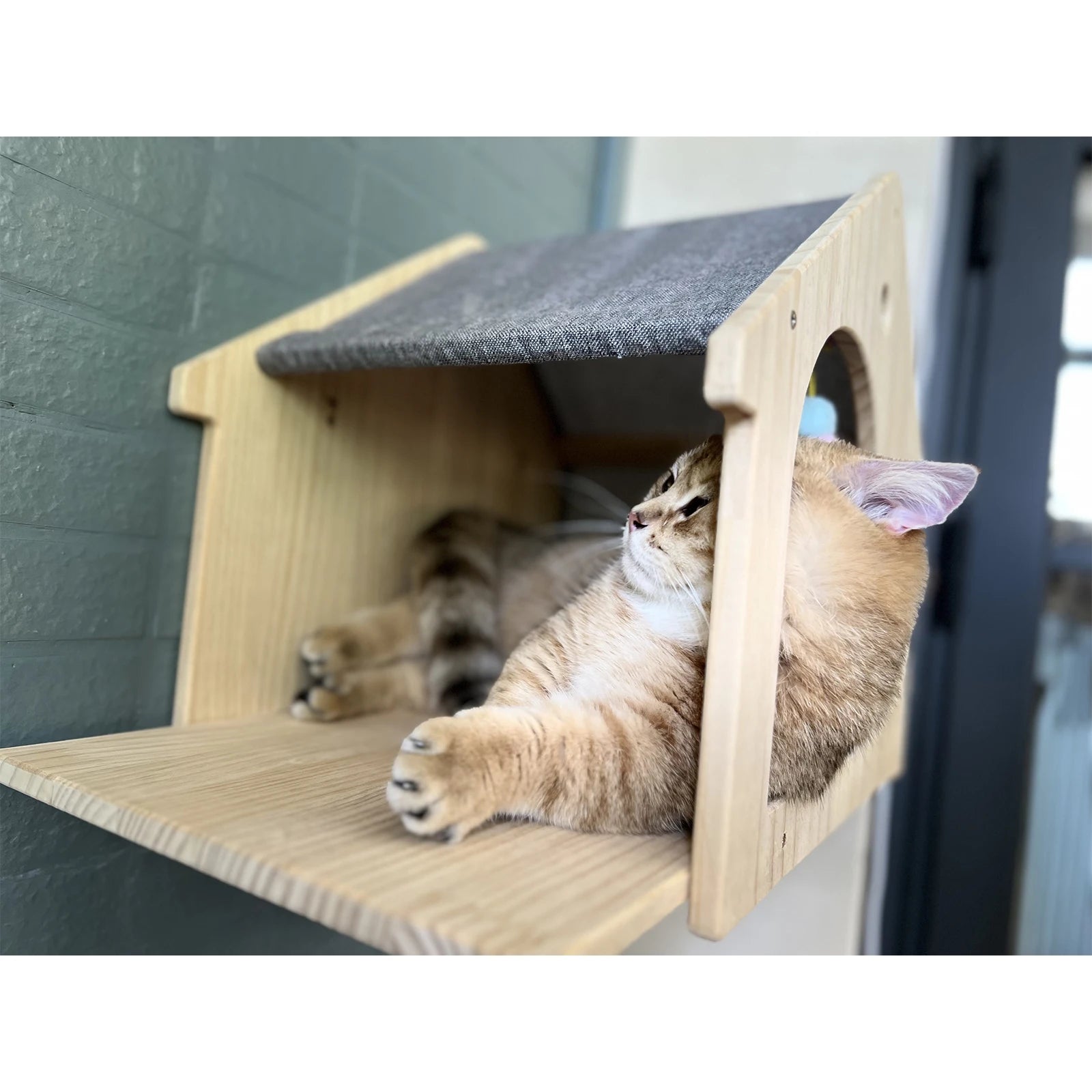 Wall-Mounted Wooden Cat Condo A0256