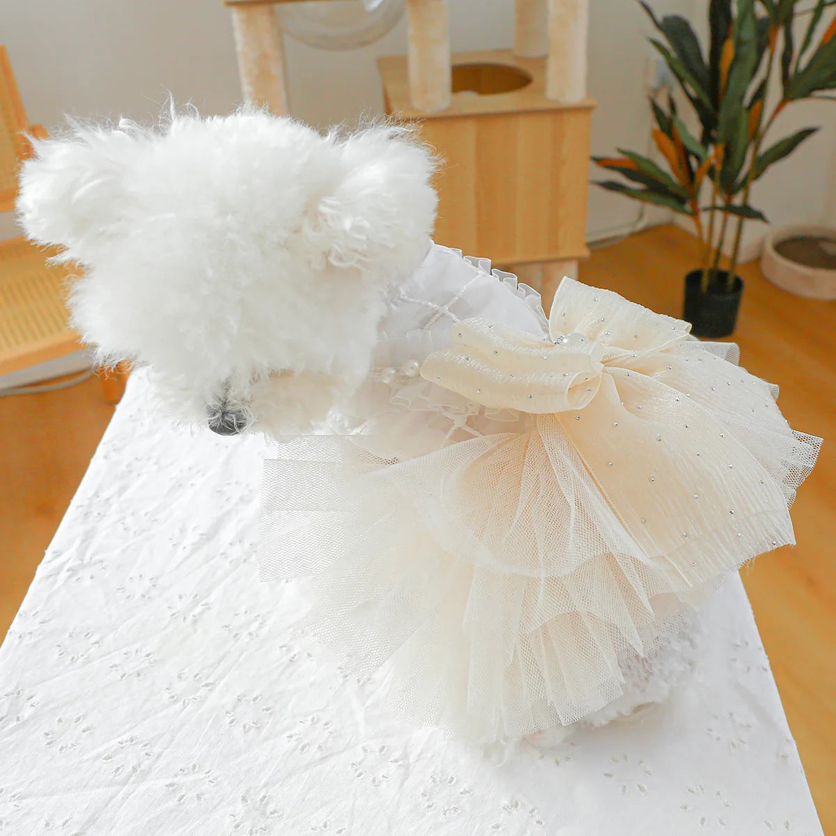 Spring & Summer Princess Dog Dress A0265