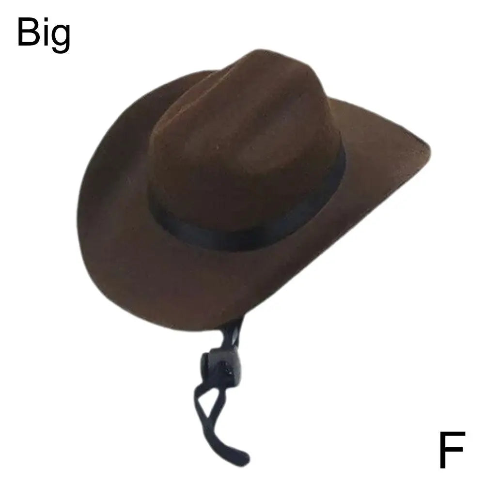 Funny Pet Cowboy Hat A0211