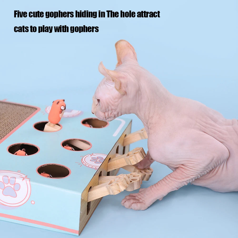 Interactive Cat Game Box A0402