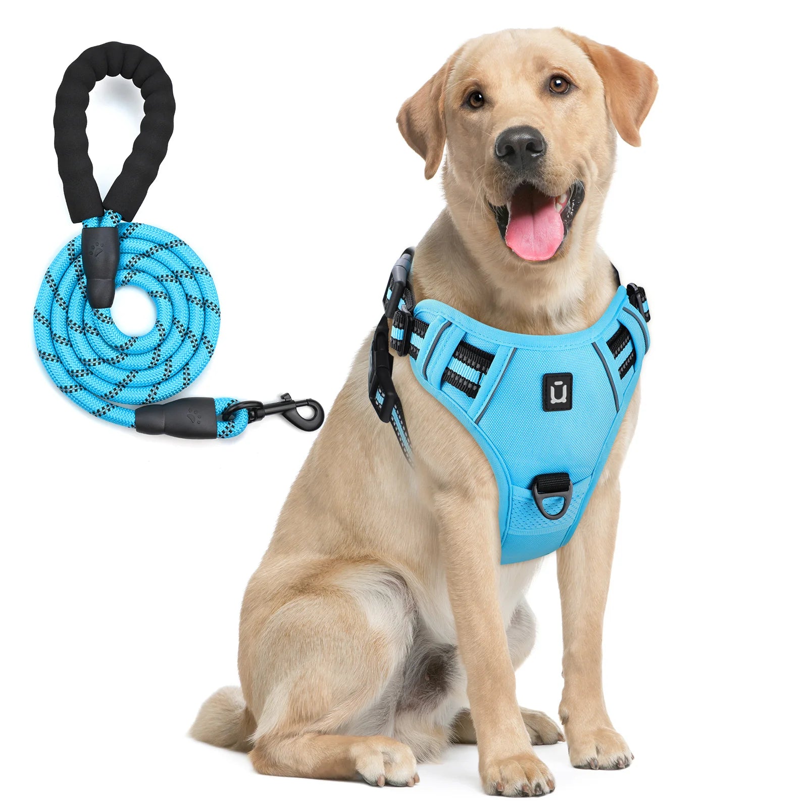 No-Pull Dog Harness & Leash A0040