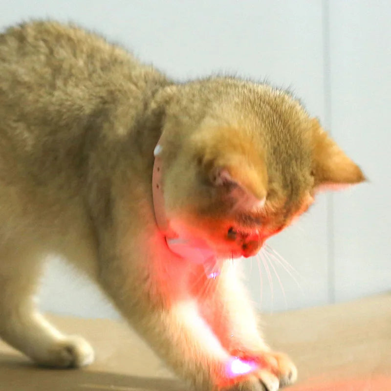 USB Rechargeable Laser Cat Collar  A0432