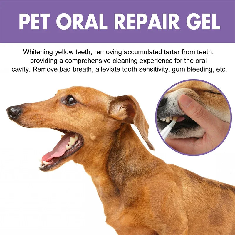 Pet Teeth - Cleaning & Whitening Pen.A0119