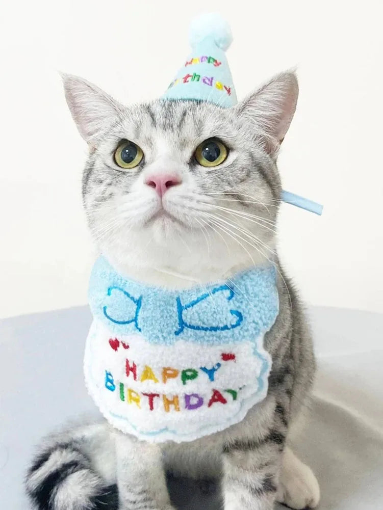 Cat Dog Birthday Bib And Party Hat A0236