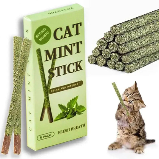 Natural Matatabi Sticks –  Mint Cat Chew Toy A0250