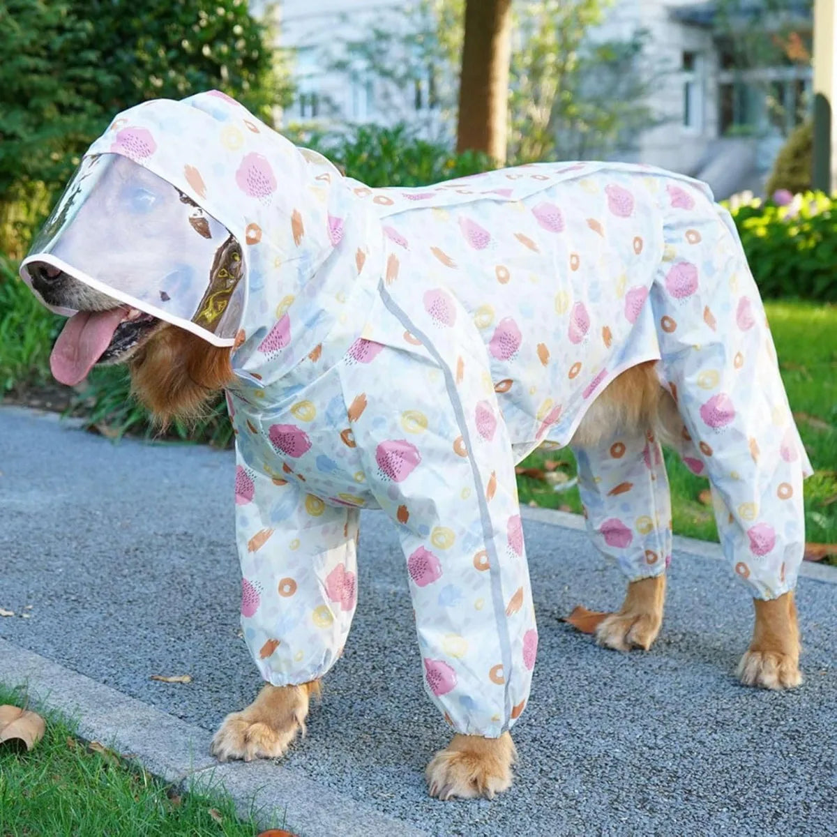 Extra Large Dog Raincoat.A0151