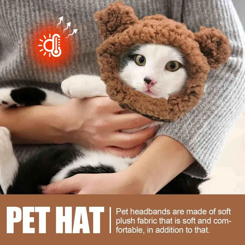 Cute Bear Hat for Pets A0190