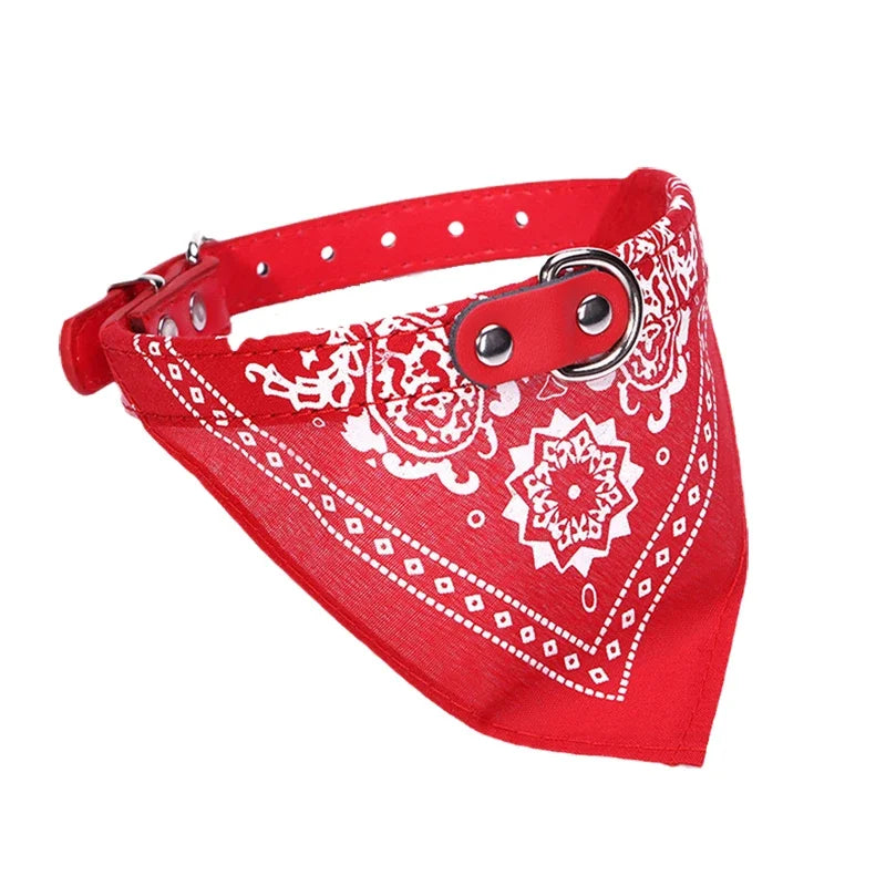 PU Cat & Dog Collar with Scarf  A0195