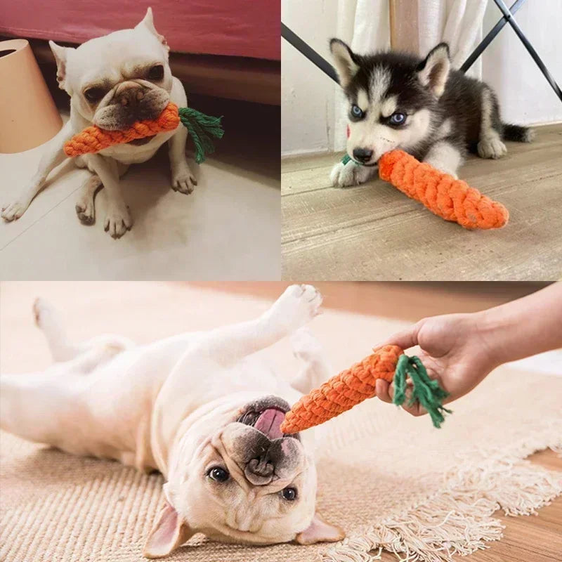 Carrot Rope Toy – Durable Chew for Dogs A0215