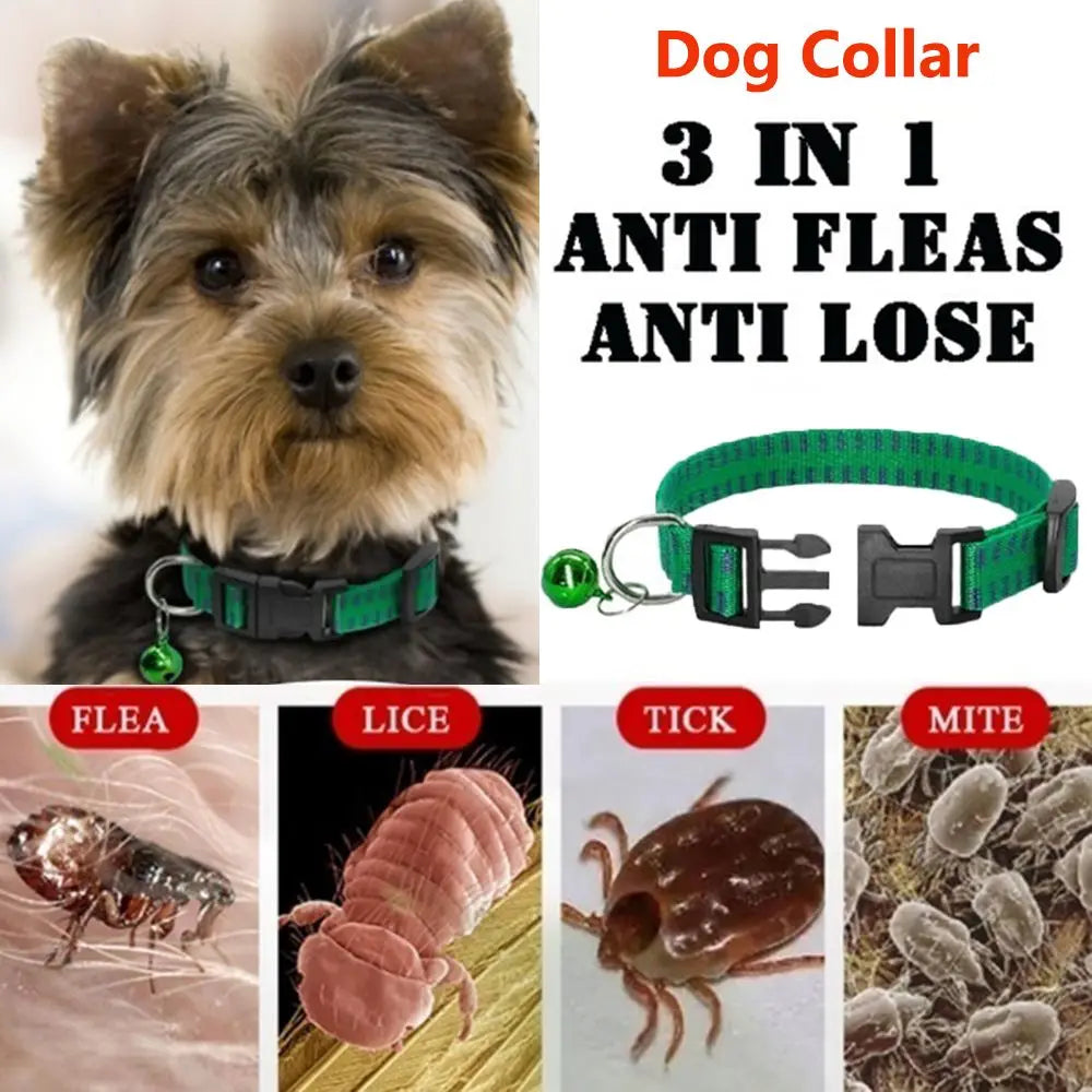 Flea & Mosquito Collar for Dogs A0314