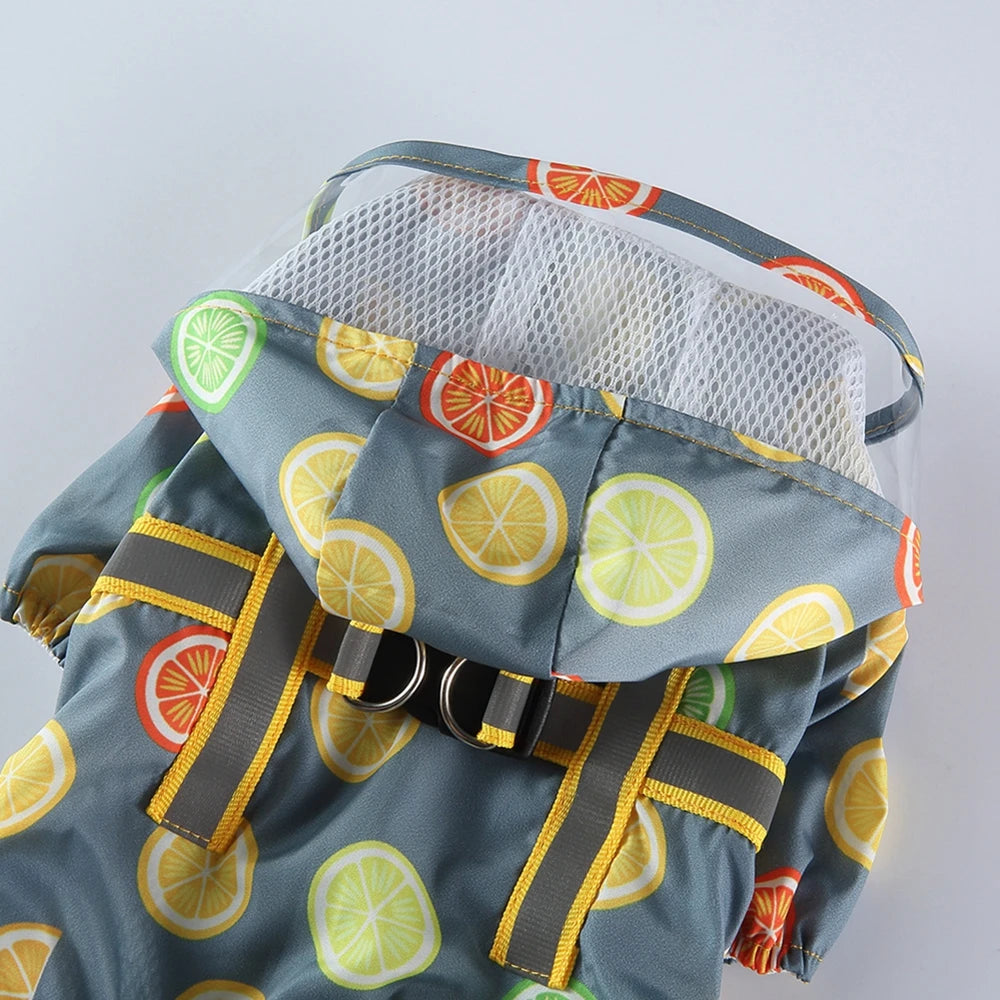 Fruit Print Raincoat  A0167