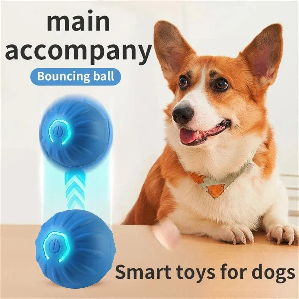 Interactive Dog Toy Ball for Puppies A0433