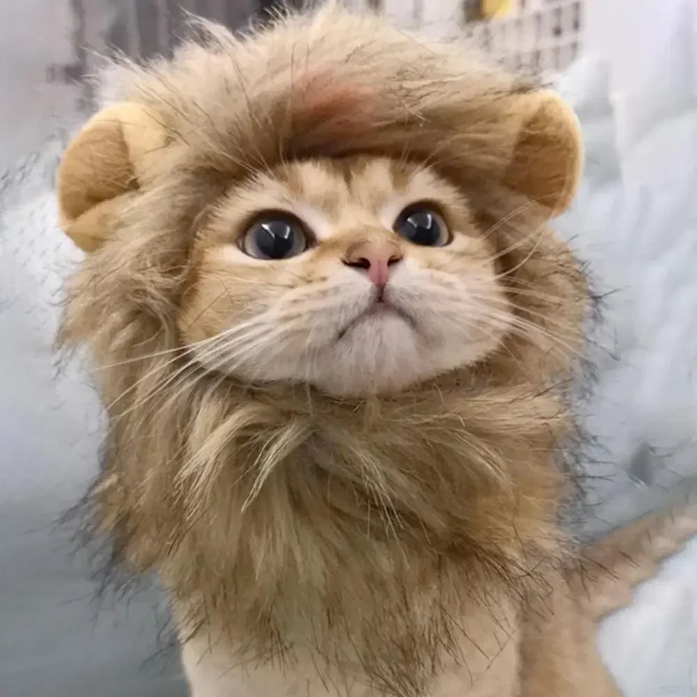 Lion-Style Pet Hat A0217