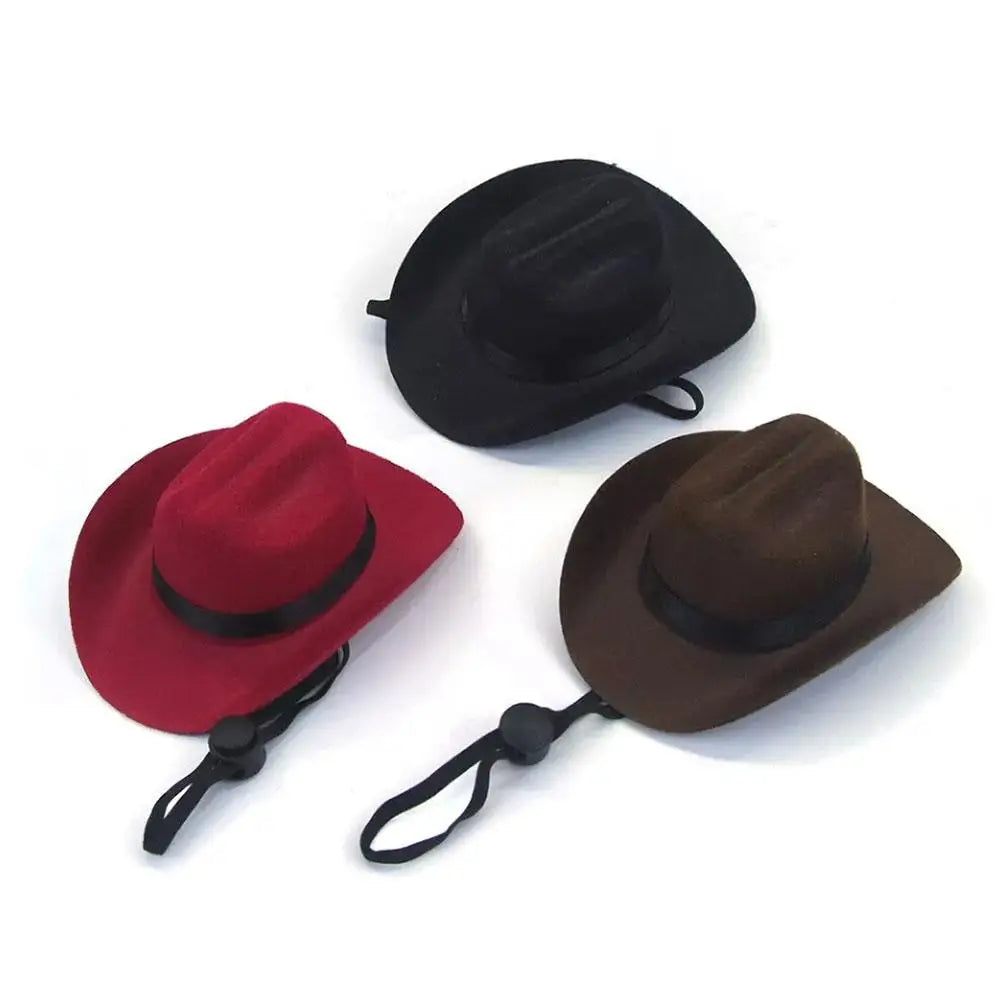 Funny Pet Cowboy Hat A0211