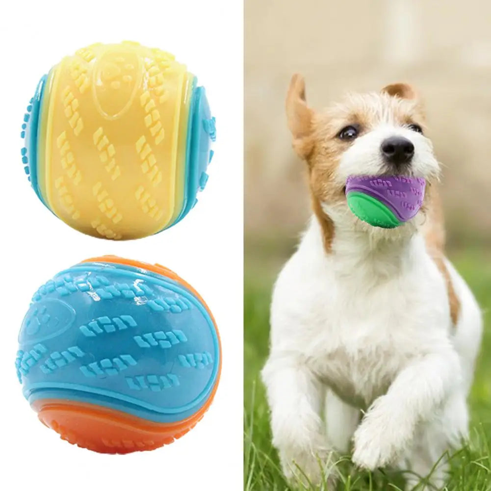 Bite-Resistant Squeak Ball for Dogs.A0160