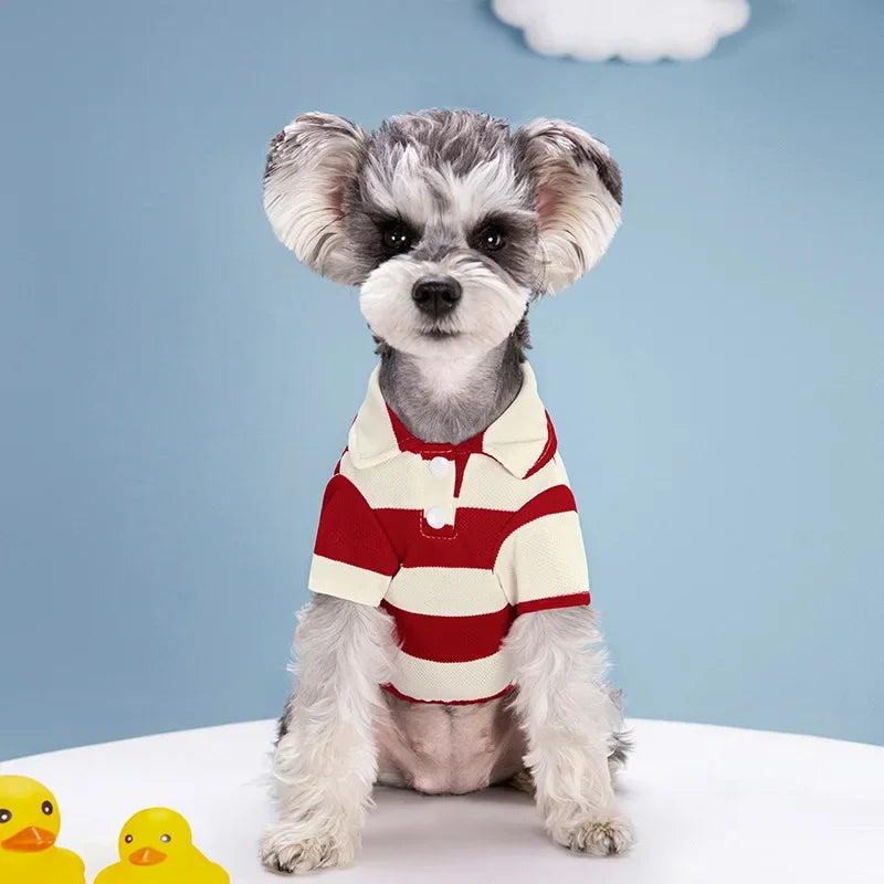 Dog Striped Polo Shirt A0002